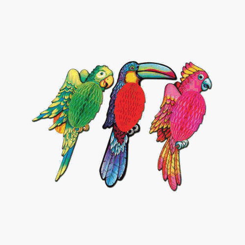 Beistle - 55274 - Tissue Exotic Birds- Pack of 12