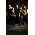 Thumbnail image of Demon Hunter