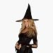 RG Costumes 65307 Spider Web Witch Hat - Black
