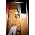 Thumbnail image of Andre Williams
