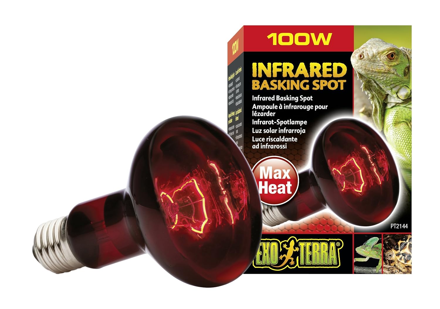 A Guide to Vivarium Heating Vivarium World