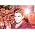 Thumbnail image of Adam Lambert