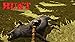 Survival Island 3D