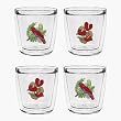 Tropical Parrots & Anthuriam Flowers 12 oz Double-Old-Fashioned Insulated Beverage Tumblers Set, Clear (Set of 4)