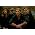 Thumbnail image of Needtobreathe