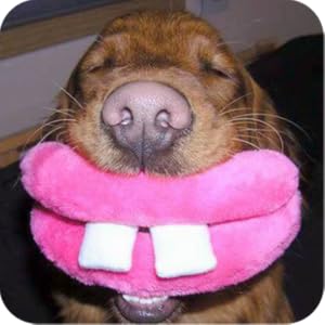 OMG Funny Pictures