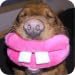 OMG Funny Pictures OMG Funny Pictures