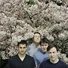 Image of Bombay Bicycle Club