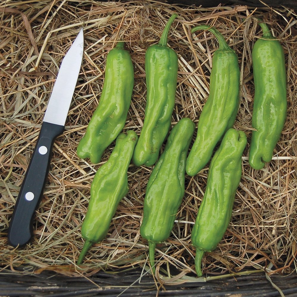 peppers edibles plants and seeds sold direct from the grower at Farmers