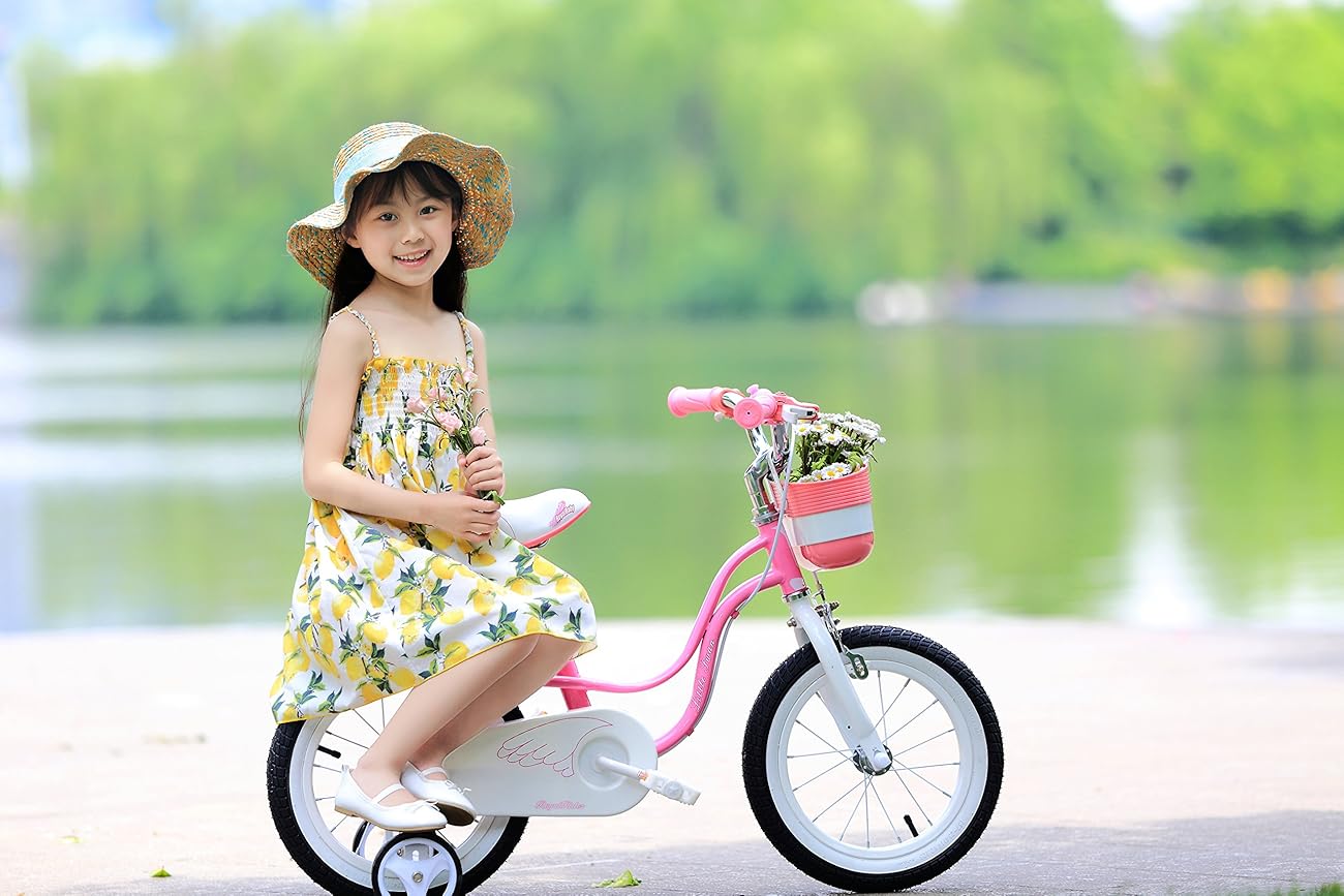 RoyalBaby Little Swan Girl's Bike with basket, 14 inch with training