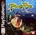 Search : Bass Rise
