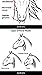 How to Draw Horses: Pro Edition