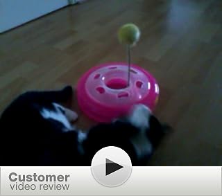 Click to watch this video