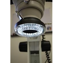 Ample Scientific LED-R 60 Bulb Adjustable LED Ring Light