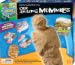 Search : Amazing Mummies