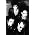 Vignette de The Cure