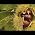 Video von Margot S. Baumann