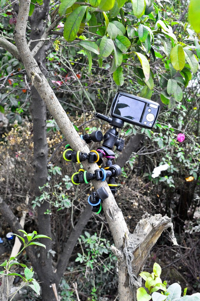 Amazon.com : Polaroid Snap and Wrap Flexi Color Tripod with 360 ...