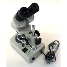 Stereo Microscope