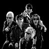 Abbildung von Scorpions