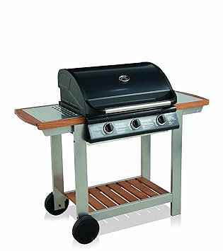 barbecue gaz mixte grille plancha