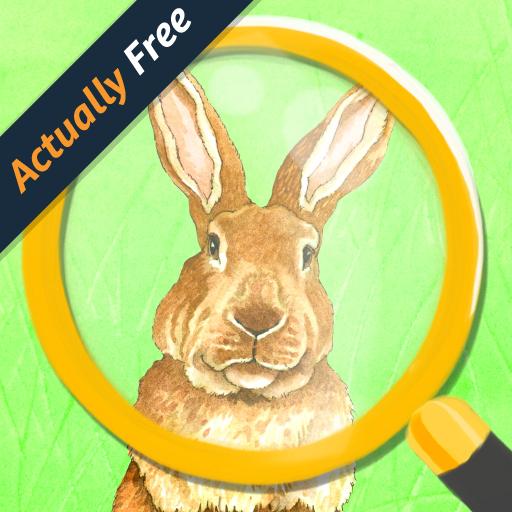 Find the Differences: Easter Bunny Edition Picture Search Game for Kids – Amazon Underground Edition