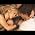 Video of Shakira