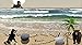 Sand Draw