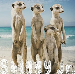 ޡ /Shiggy Jr.