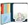 3B Scientific Einstein's Gluons Sticky Notes, 4-1/4" Length x 3-1/4" Width
