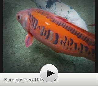 Klicken, um dieses Video zu sehen