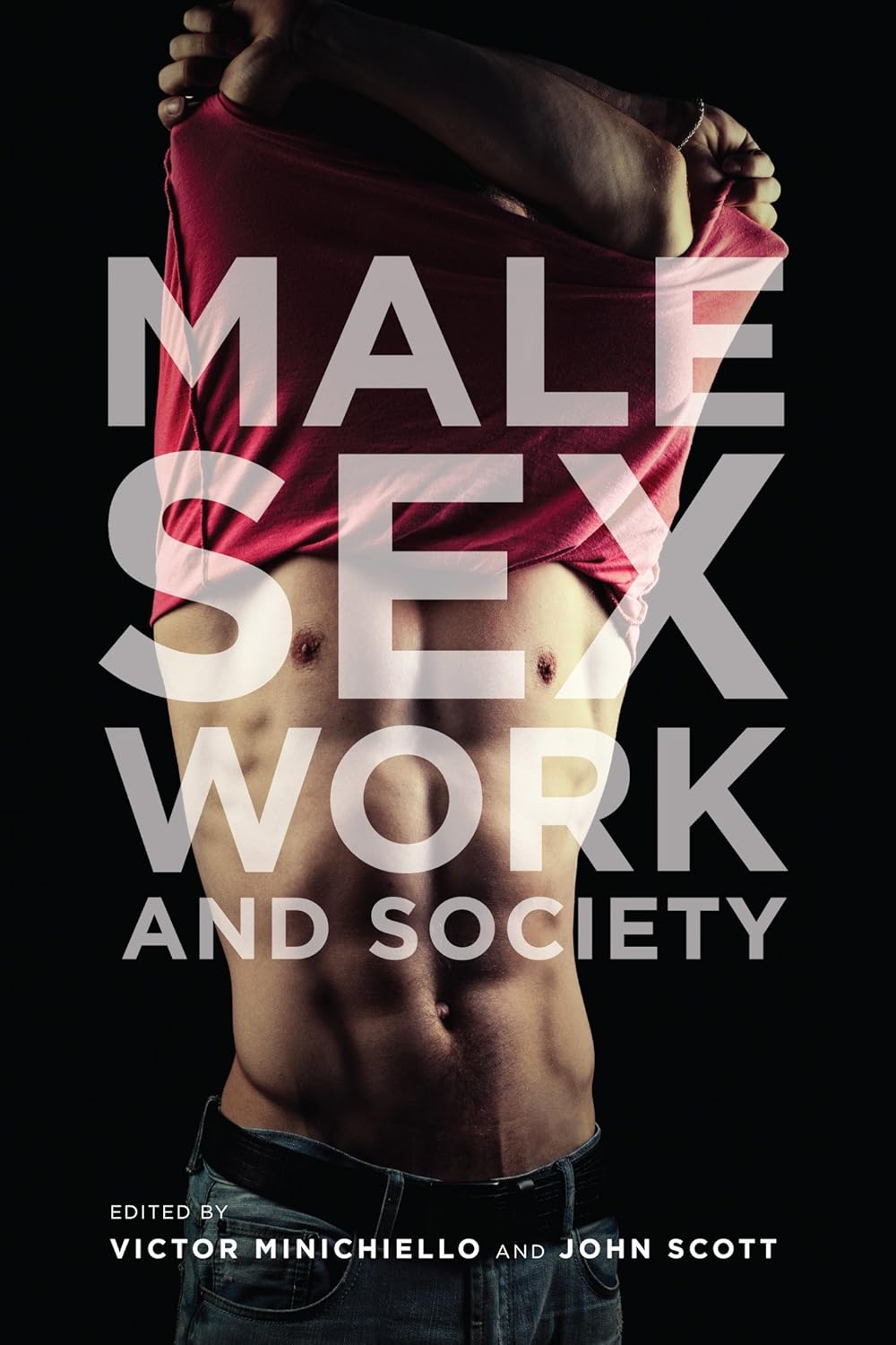 Male Sex Work and Society - Victor Minichiello，John Scott