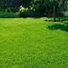 Green Lawns Made Easy!