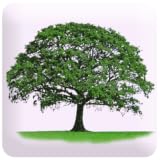 Know Yourself Personality Test ~ Excel At Life