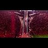 LIVE 2012 Trailer