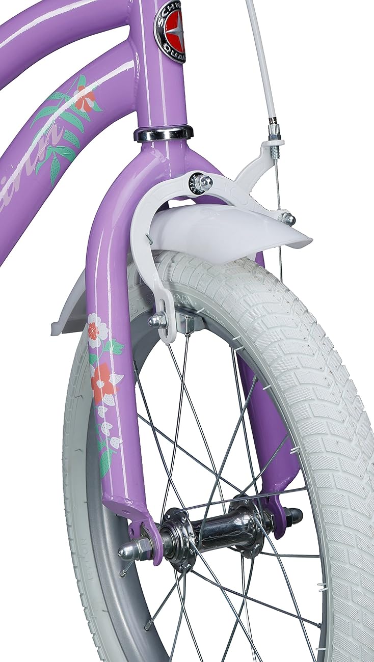 schwinn 18 inch bike