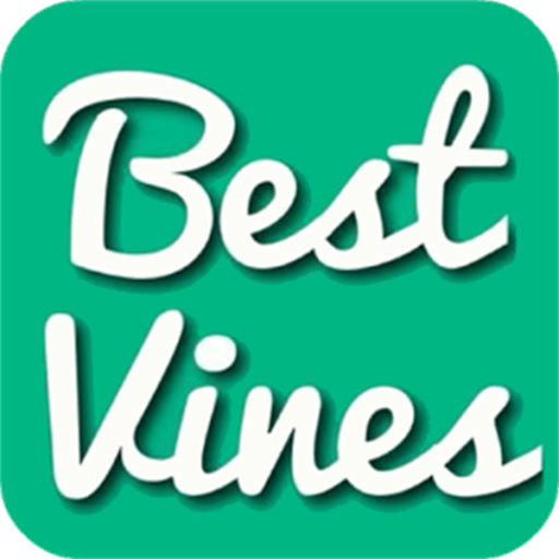 Watch Funny Vines