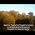 Video of Daniel Mark Brown