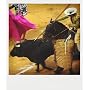 El Toro y La Prohibicion de Catherine Tosko