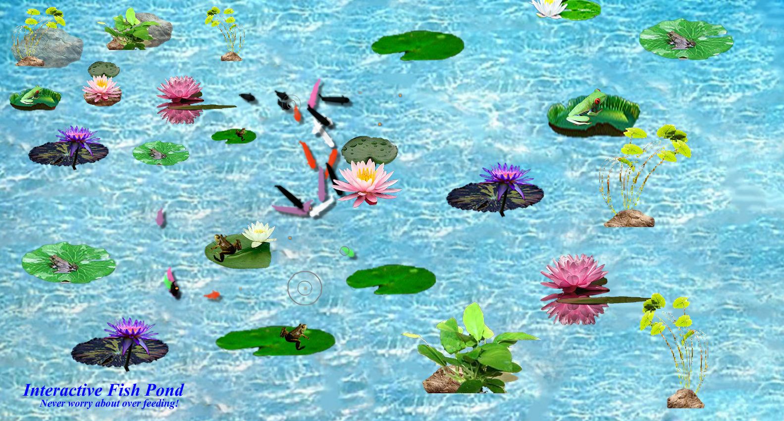 Live Fish Pond Download 11street Malaysia Board Games