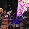 Image de The Allman Brothers Band