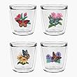 Butterflies (Assorted) 12 oz Double-Old-Fashioned Insulated Beverage Tumblers Set, Clear (4 designs)