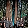 Image of Testament