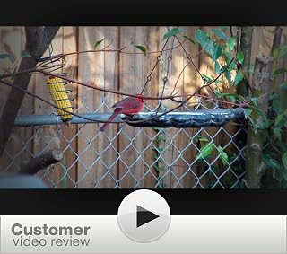 Click to watch this video