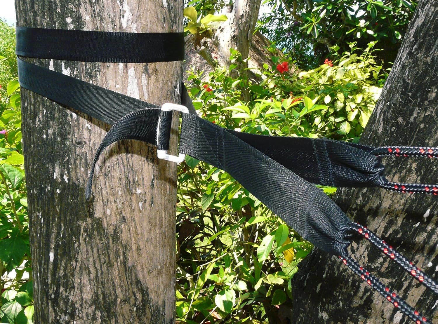 Купить New & Improved Hammock Bliss Deluxe Cinching Tree Straps Heavy Duty & Extra Long