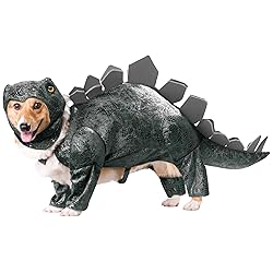 Dog Costume ideas for halloween