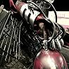 MONSTER MAGNET - Gods And Punks