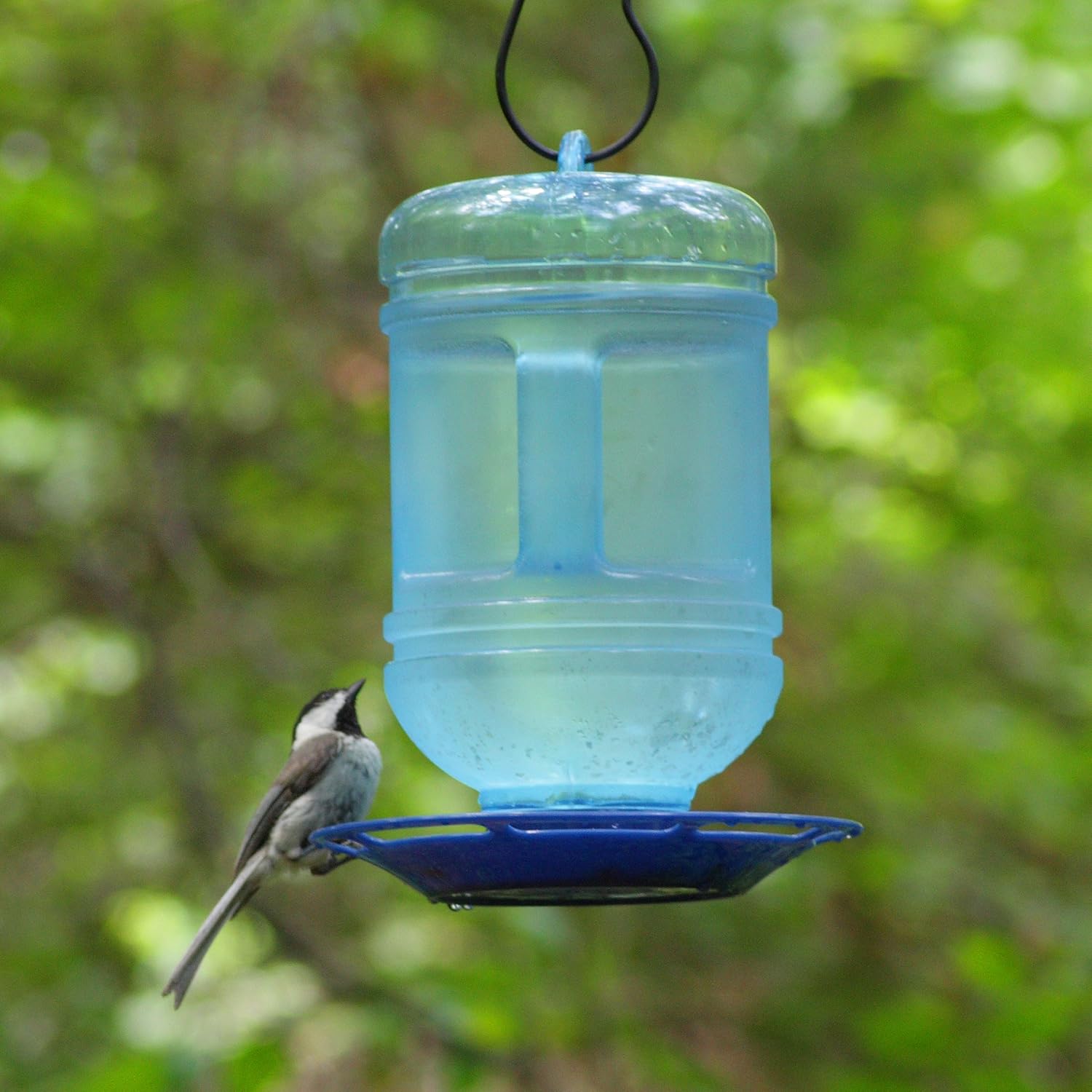 PerkyPet Water Cooler Bird Waterer , New, Free Shipping eBay