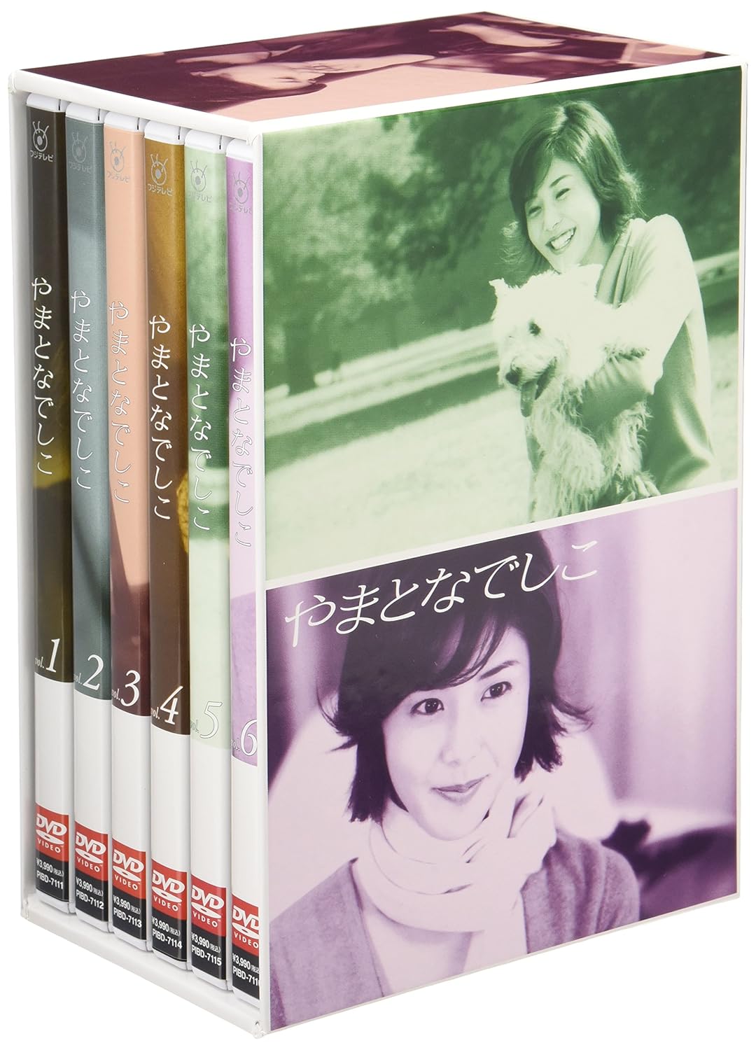 やまとなでしこ DVD-BOX