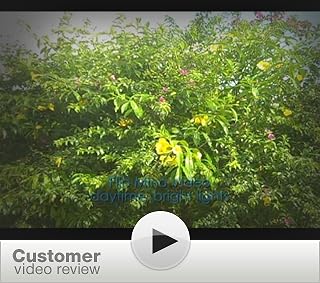 Click to look at this video